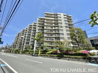3LDK apartment in Chuo Ward