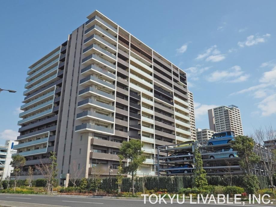 1LDK apartment in Kashiwa, Chiba - Photo 1