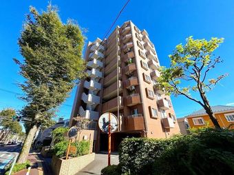 3LDK apartment in Chuo Ward