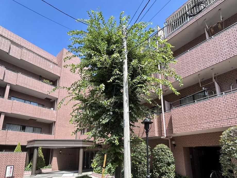 3LDK apartment in Setagaya Ward, Tokyo - Photo 1