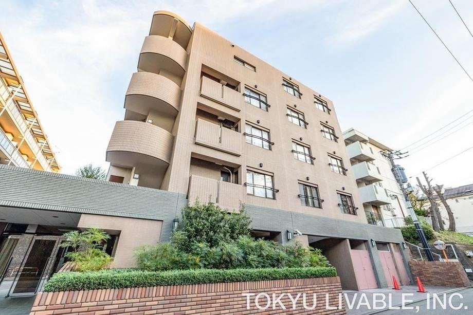 3LDK apartment in Miyamae Ward, Kawasaki, Kanagawa - Photo 1