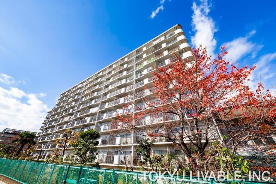 3LDK apartment in Kita Ward, Tokyo - Photo 1