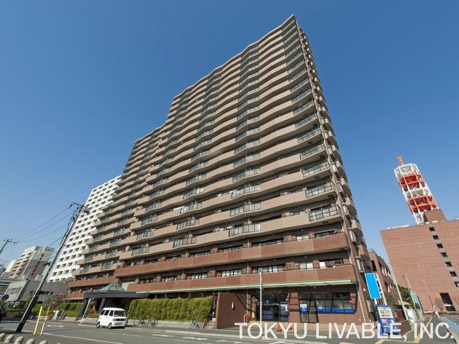 3LDK apartment in Chuo Ward, Chiba - Photo 1