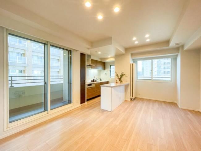2LDK apartment in Chuo Ward, Sapporo, Hokkaido - Photo 1