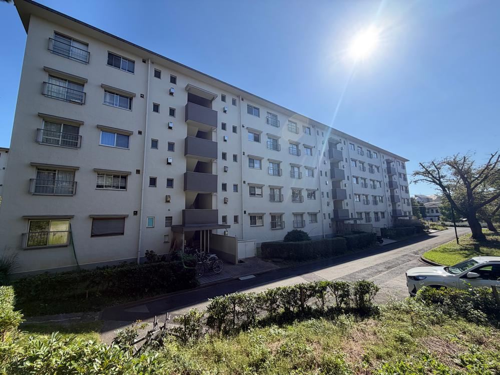 3LDK apartment in Matsudo, Chiba - Photo 1