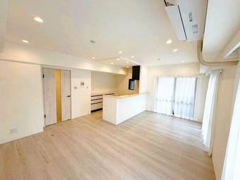 1LDK+S apartment in Chiyoda Ward