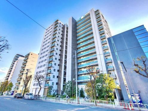 2LDK apartment in Koto Ward, Tokyo - Photo 1