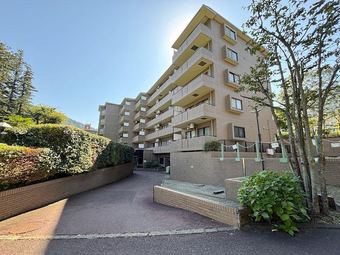 1LDK apartment in Ashigarashimo District
