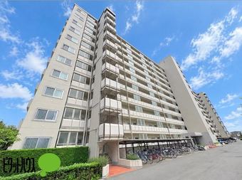 3LDK apartment in Matsudo