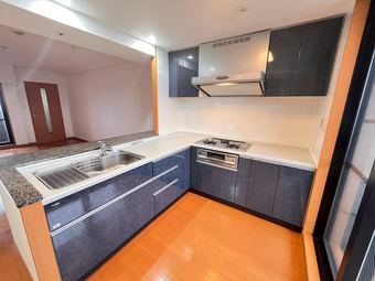 1LDK apartment in Shimogyo Ward