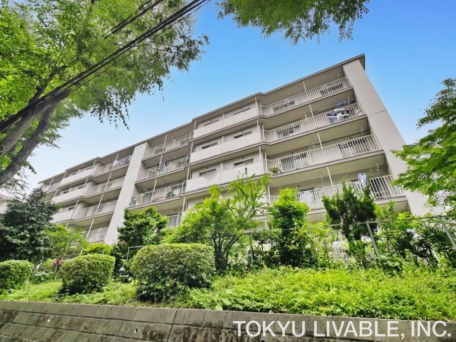 3LDK apartment in Miyamae Ward, Kawasaki, Kanagawa - Photo 1