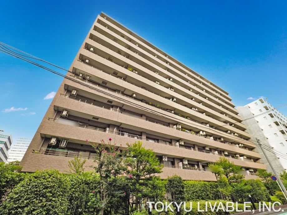 3LDK apartment in Nishi Ward, Yokohama, Kanagawa - Photo 1