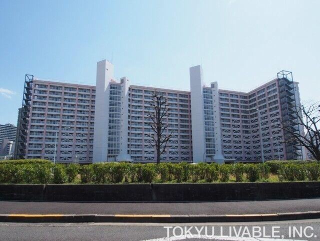 2LDK+S apartment in Koto Ward, Tokyo - Photo 1