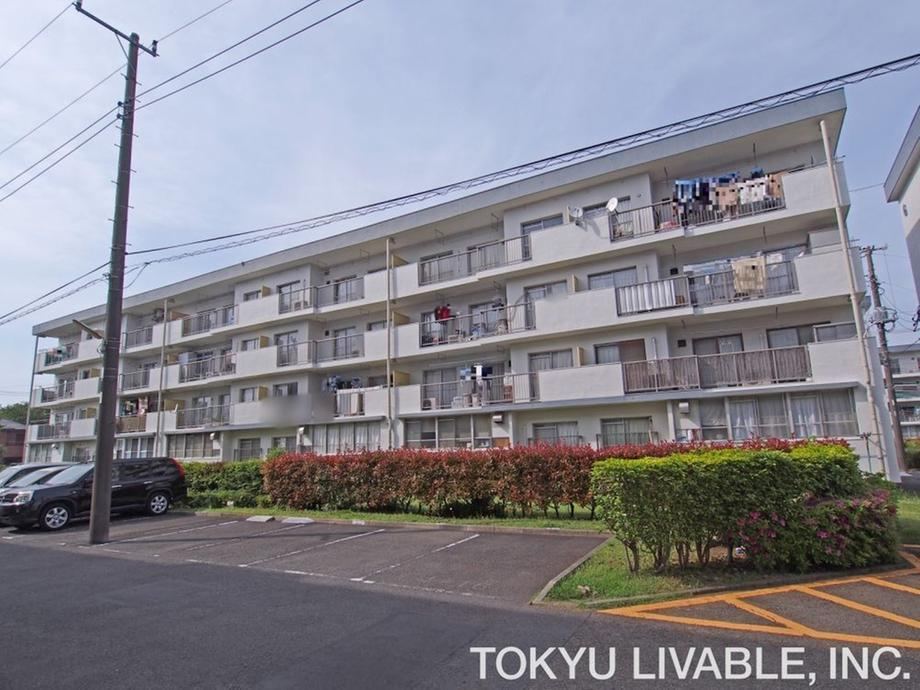 3DK apartment in Konan Ward, Yokohama, Kanagawa - Photo 1