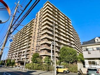 3LDK apartment in Matsudo