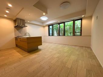 1LDK apartment in Minato Ward