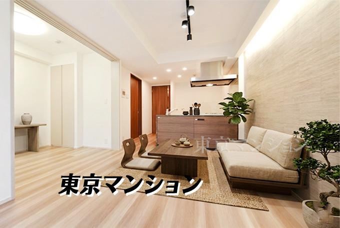 1LDK apartment in Shinjuku Ward, Tokyo - Photo 1