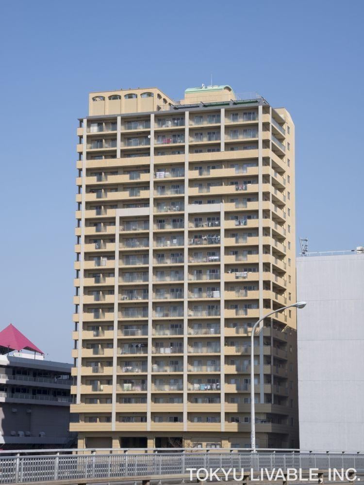 3LDK apartment in Adachi Ward, Tokyo - Photo 1
