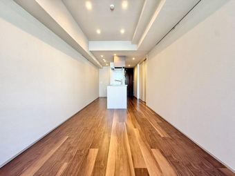 1LDK apartment in Chiyoda Ward