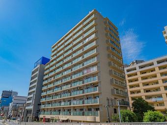 2LDK apartment in Koto Ward