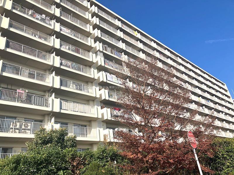 3LDK apartment in Ichikawa, Chiba - Photo 1