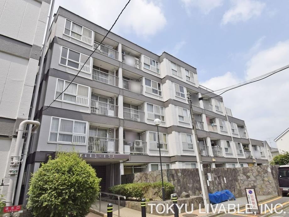 3DK apartment in Minami Ward, Sagamihara, Kanagawa - Photo 1