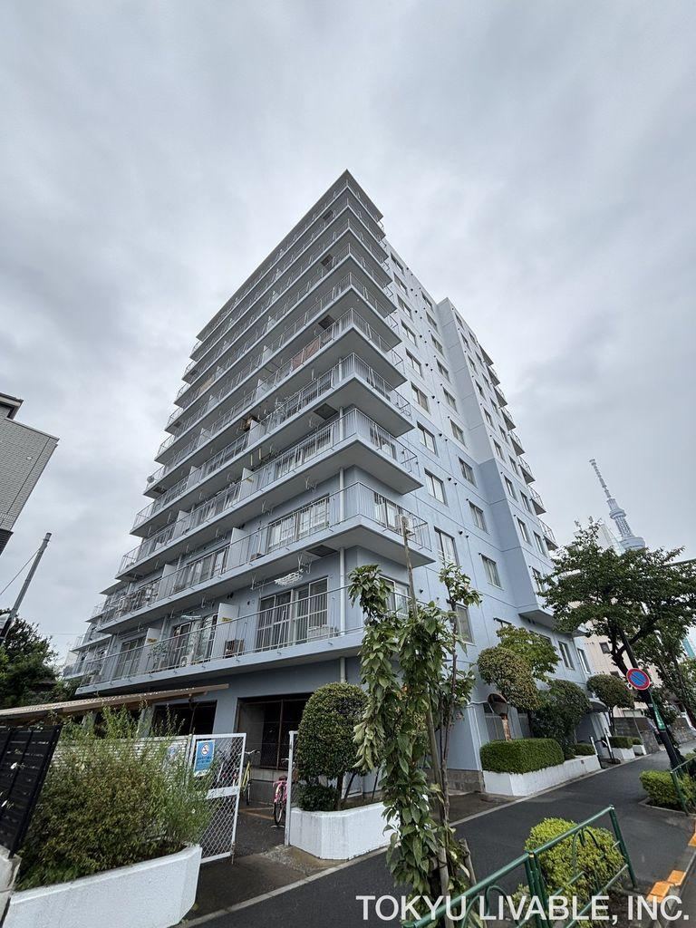 2LDK+S apartment in Koto Ward, Tokyo - Photo 1