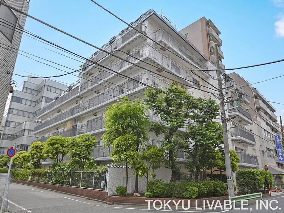 1LDK+S apartment in Koto Ward, Tokyo - Photo 1