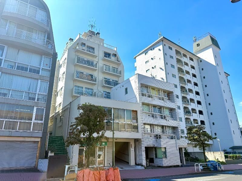 2DK apartment in Ota Ward, Tokyo - Photo 1