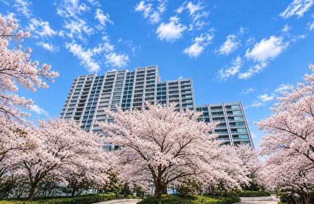 2LDK apartment in Shinagawa Ward, Tokyo - Photo 1