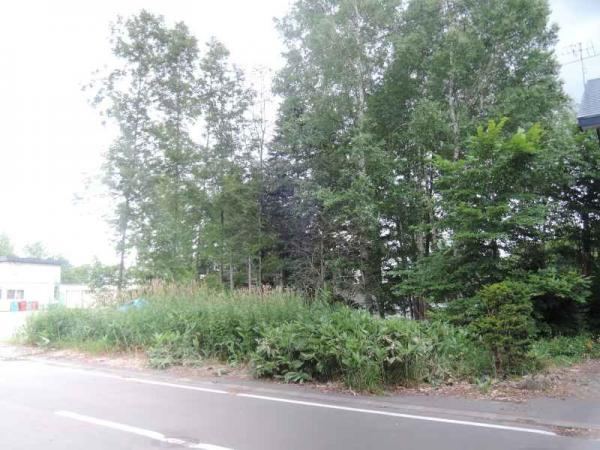 Versatile Land in Shunkodai - Photo 1