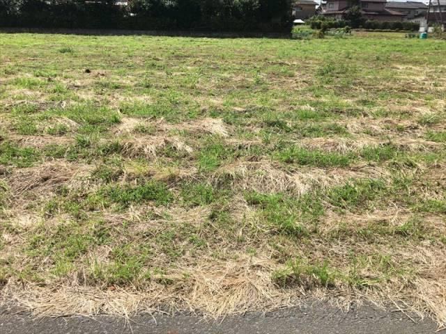 Quiet Residential Land Near Yokobori Elementary - Photo 1