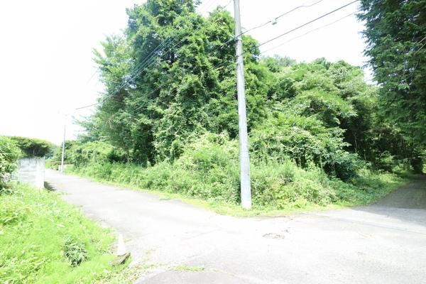 Spacious Land Surrounded by Nature in Itan - Photo 1