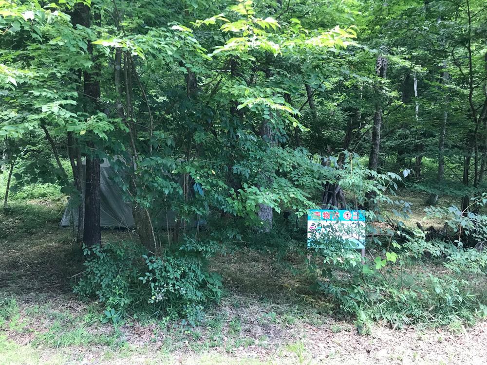 Land Surrounded by Nature in Fukuoka, Izumi Ward - Photo 1