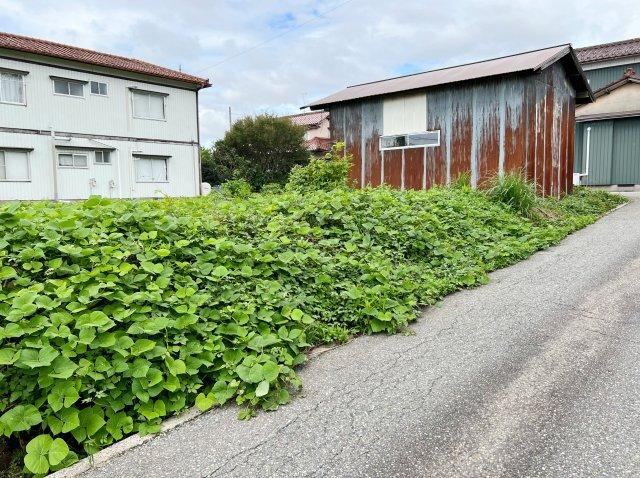 Property - Photo 1