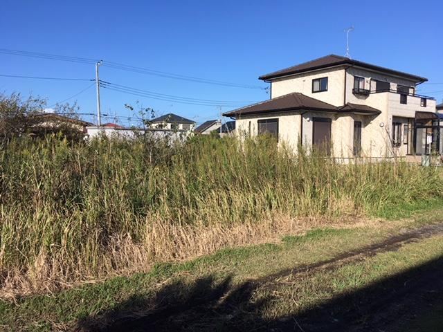 Property - Photo 1