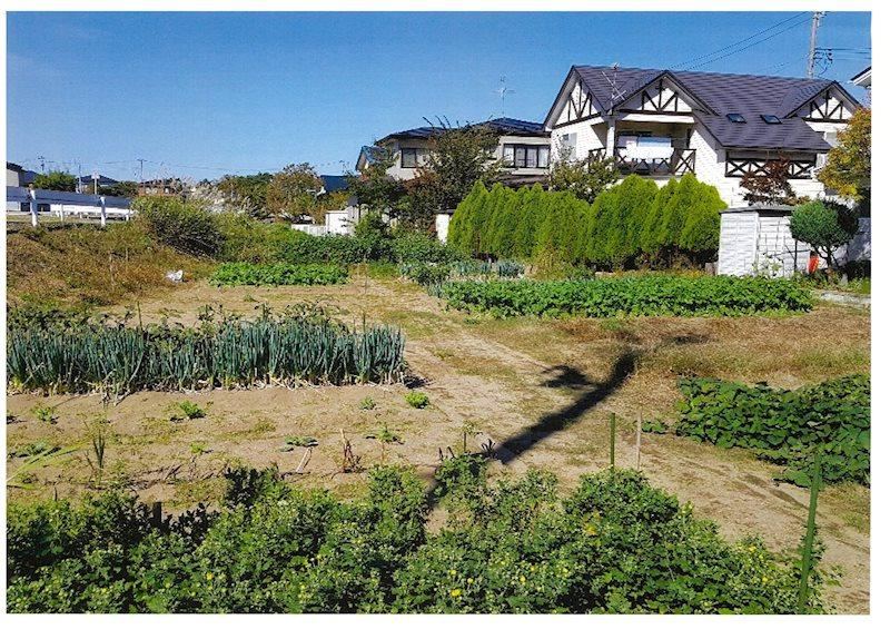 Large Land for Immediate Use in Shimoshinjo, Akita - Photo 1
