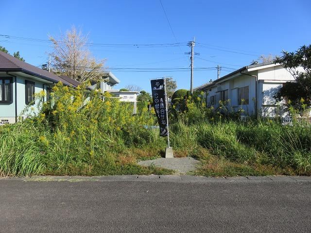 Property - Photo 1
