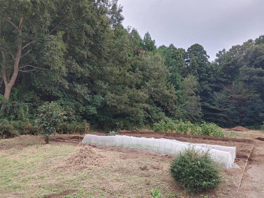 Large Plot in Fukuda, Naka City - Photo 1
