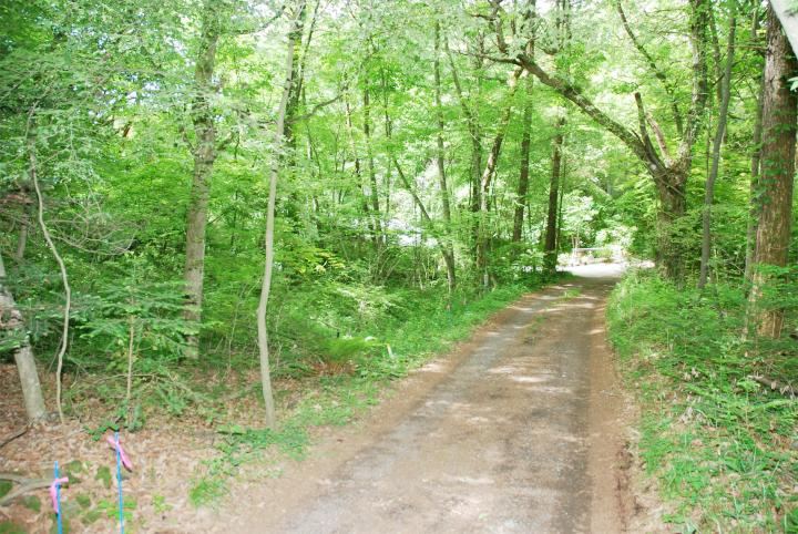 935 m² land in Karuizawa, Kitasaku District, Nagano - Photo 1