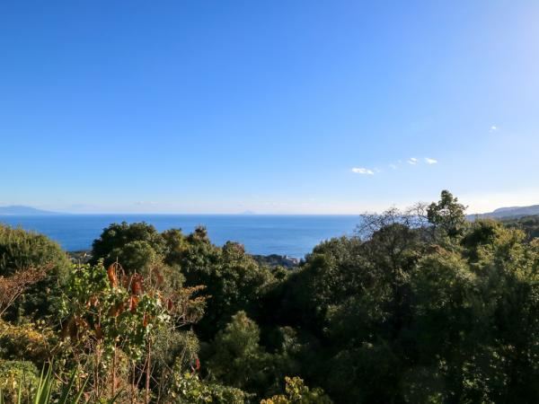 Spacious 4SLDK with Ocean View in Akazawa - Photo 1