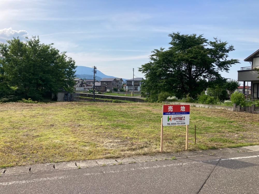 Dividable Land in Myoko - Photo 1