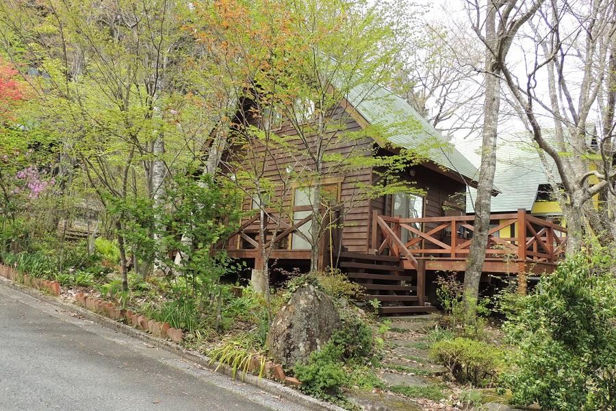 Cozy 1LDK House in Yoshikawa - Photo 1
