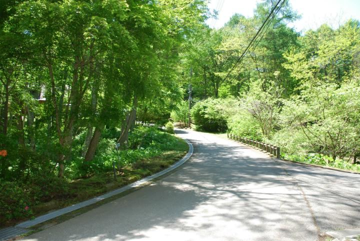 1001 m² land in Karuizawa, Kitasaku District, Nagano - Photo 1