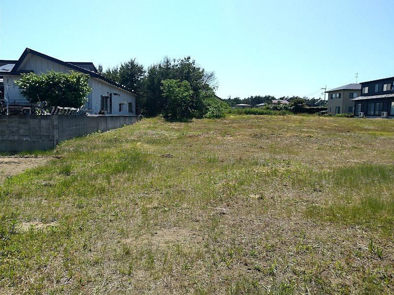 Expansive Land in a Quiet Neighborhood - Photo 1