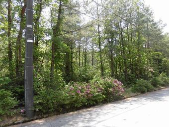 plot of land in Hosu District