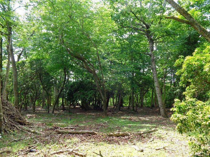 Expansive Land Surrounded by Nature in Sengokuhara - Photo 1