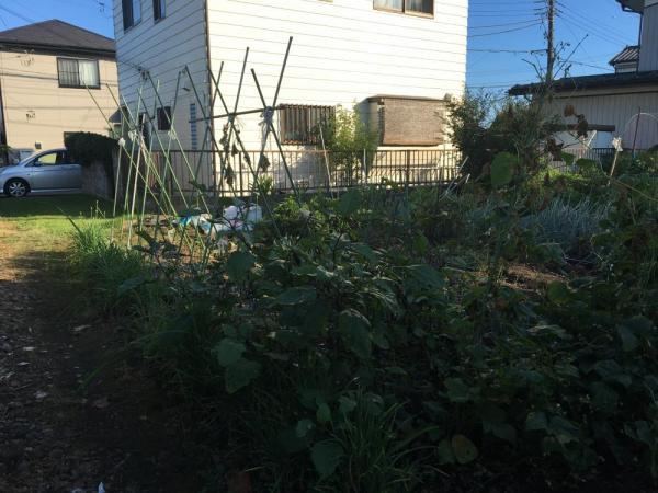 Land in Hatagawa Area Near Koganei Station - Photo 1