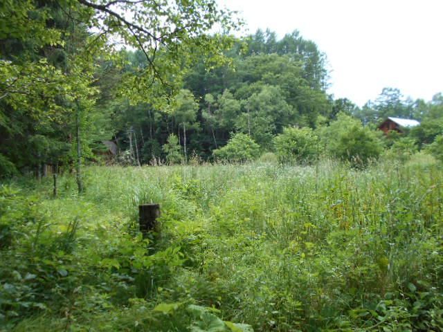 3361 m² land in Matsumoto, Nagano - Photo 1