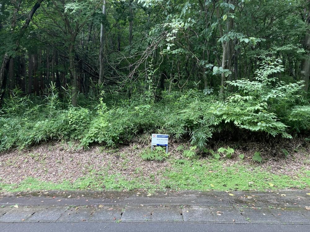 Prime Land in Royal City Miyagi Zao Resort - Photo 1